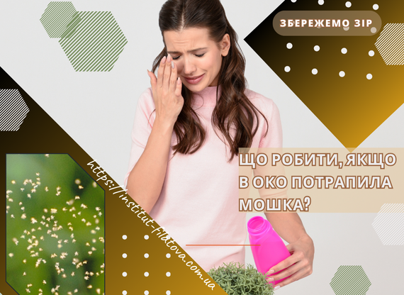 Що робити, якщо в око потрапила мошка?