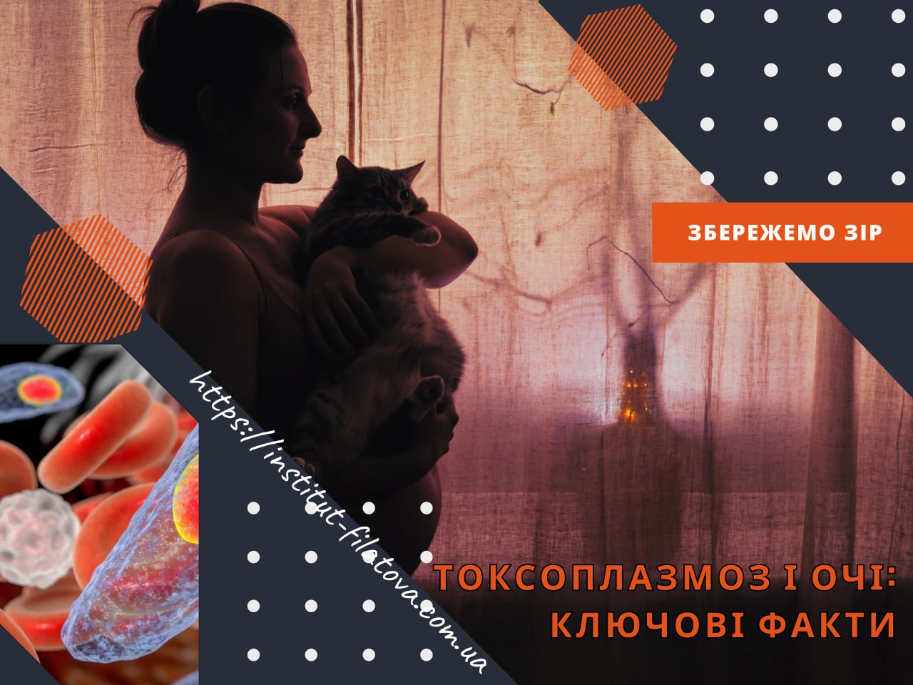ТОКСОПЛАЗМОЗ І ОЧІ: КЛЮЧОВІ ФАКТИ